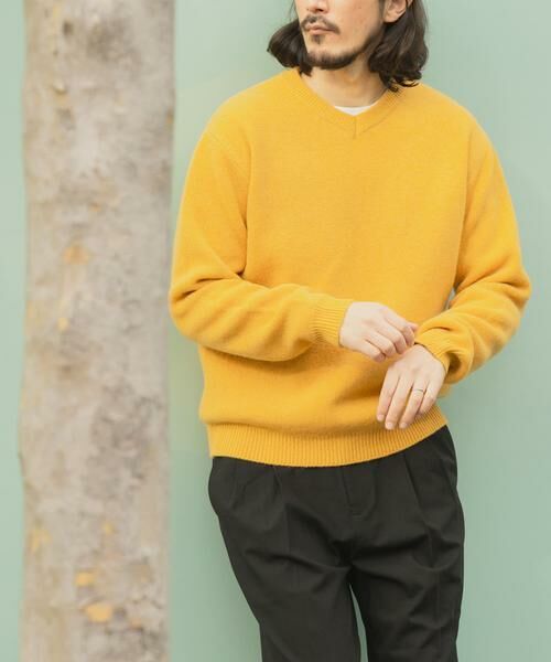 URBAN RESEARCH ITEMS / アーバンリサーチ アイテムズ ニット・セーター | タスマニア メリノウール100 Vネックニット | 詳細13