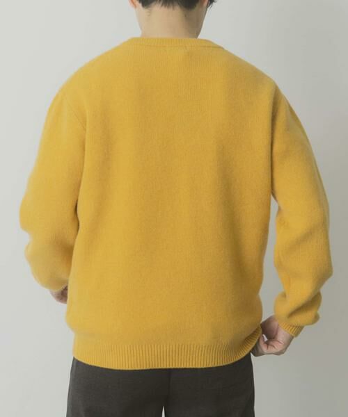 URBAN RESEARCH ITEMS / アーバンリサーチ アイテムズ ニット・セーター | タスマニア メリノウール100 Vネックニット | 詳細22