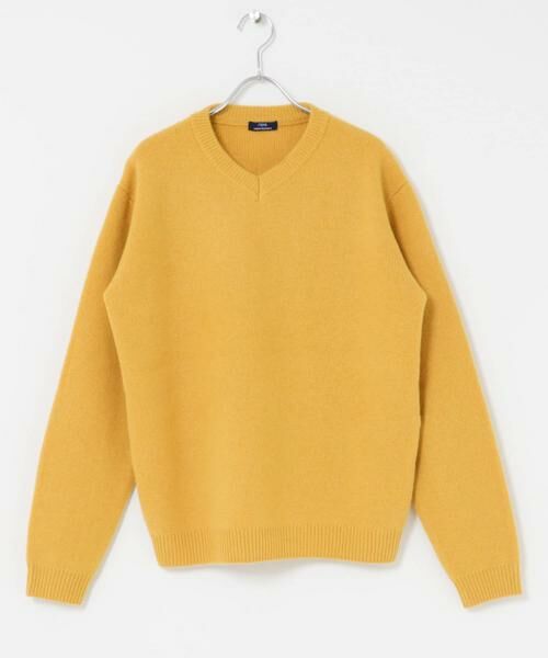 URBAN RESEARCH ITEMS / アーバンリサーチ アイテムズ ニット・セーター | タスマニア メリノウール100 Vネックニット | 詳細24