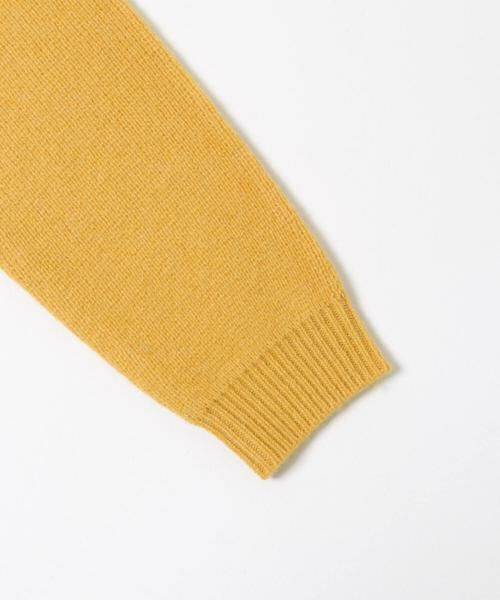 URBAN RESEARCH ITEMS / アーバンリサーチ アイテムズ ニット・セーター | タスマニア メリノウール100 Vネックニット | 詳細25