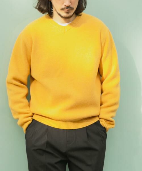 URBAN RESEARCH ITEMS / アーバンリサーチ アイテムズ ニット・セーター | タスマニア メリノウール100 Vネックニット | 詳細14