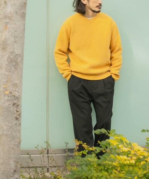URBAN RESEARCH ITEMS / アーバンリサーチ アイテムズ ニット・セーター | タスマニア メリノウール100 Vネックニット | 詳細15