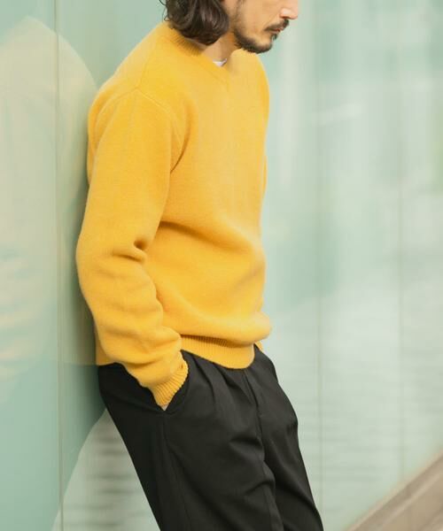 URBAN RESEARCH ITEMS / アーバンリサーチ アイテムズ ニット・セーター | タスマニア メリノウール100 Vネックニット | 詳細16