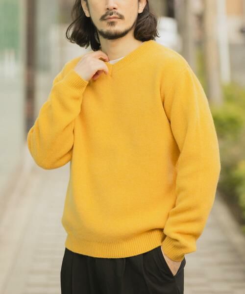 URBAN RESEARCH ITEMS / アーバンリサーチ アイテムズ ニット・セーター | タスマニア メリノウール100 Vネックニット | 詳細17