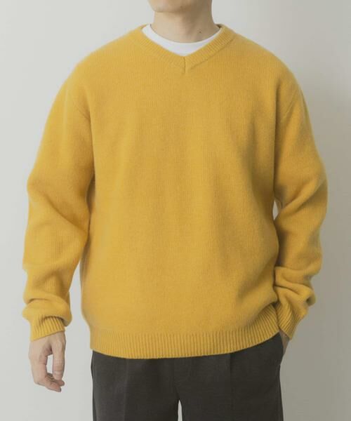 URBAN RESEARCH ITEMS / アーバンリサーチ アイテムズ ニット・セーター | タスマニア メリノウール100 Vネックニット | 詳細18
