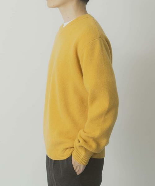 URBAN RESEARCH ITEMS / アーバンリサーチ アイテムズ ニット・セーター | タスマニア メリノウール100 Vネックニット | 詳細21