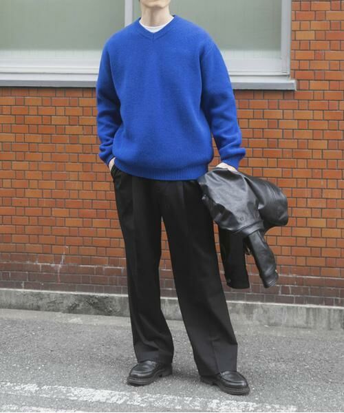 URBAN RESEARCH ITEMS / アーバンリサーチ アイテムズ ニット・セーター | タスマニア メリノウール100 Vネックニット | 詳細29