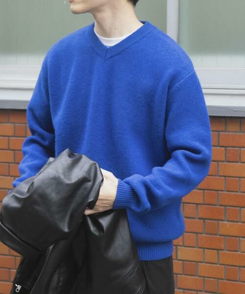 URBAN RESEARCH ITEMS / アーバンリサーチ アイテムズ ニット・セーター | タスマニア メリノウール100 Vネックニット(ブルー系その他)