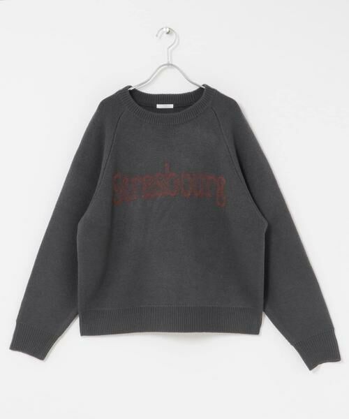 URBAN RESEARCH ITEMS / アーバンリサーチ アイテムズ ニット・セーター | スウェットライクロゴニット | 詳細25