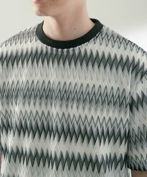 URBAN RESEARCH ITEMS / アーバンリサーチ アイテムズ Tシャツ | シアージャカードTシャツ | 詳細14