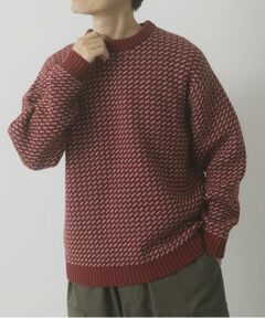 URBAN RESEARCH ITEMS / アーバンリサーチ アイテムズ ニット・セーター | マシンウォッシャブル バーズアイ クルーニット