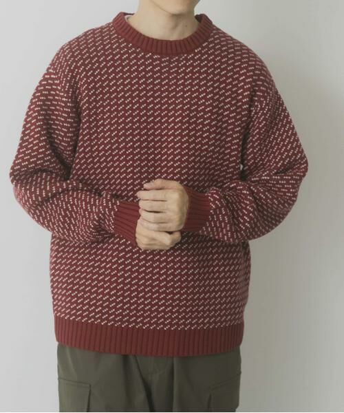 URBAN RESEARCH ITEMS / アーバンリサーチ アイテムズ ニット・セーター | マシンウォッシャブル バーズアイ クルーニット | 詳細2