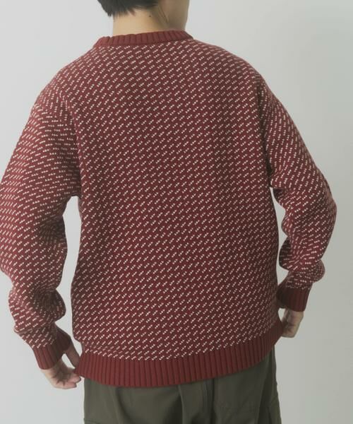 URBAN RESEARCH ITEMS / アーバンリサーチ アイテムズ ニット・セーター | マシンウォッシャブル バーズアイ クルーニット | 詳細4