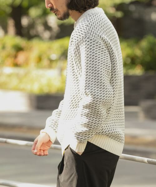 URBAN RESEARCH ITEMS / アーバンリサーチ アイテムズ ニット・セーター | マシンウォッシャブル バーズアイ クルーニット | 詳細27