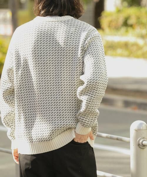 URBAN RESEARCH ITEMS / アーバンリサーチ アイテムズ ニット・セーター | マシンウォッシャブル バーズアイ クルーニット | 詳細28