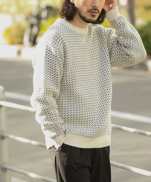URBAN RESEARCH ITEMS / アーバンリサーチ アイテムズ ニット・セーター | マシンウォッシャブル バーズアイ クルーニット | 詳細29