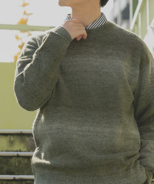 URBAN RESEARCH ITEMS / アーバンリサーチ アイテムズ ニット・セーター | スペースダイクルーネックニット | 詳細1