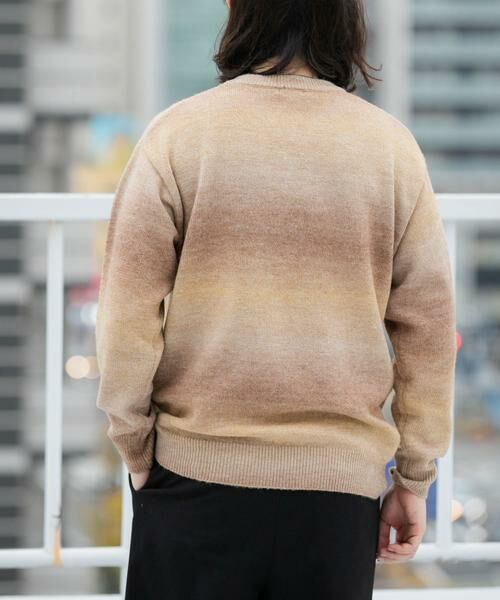 URBAN RESEARCH ITEMS / アーバンリサーチ アイテムズ ニット・セーター | スペースダイクルーネックニット | 詳細6