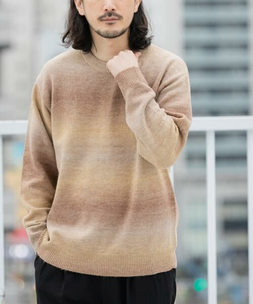 URBAN RESEARCH ITEMS / アーバンリサーチ アイテムズ ニット・セーター | スペースダイクルーネックニット（ブラウン）