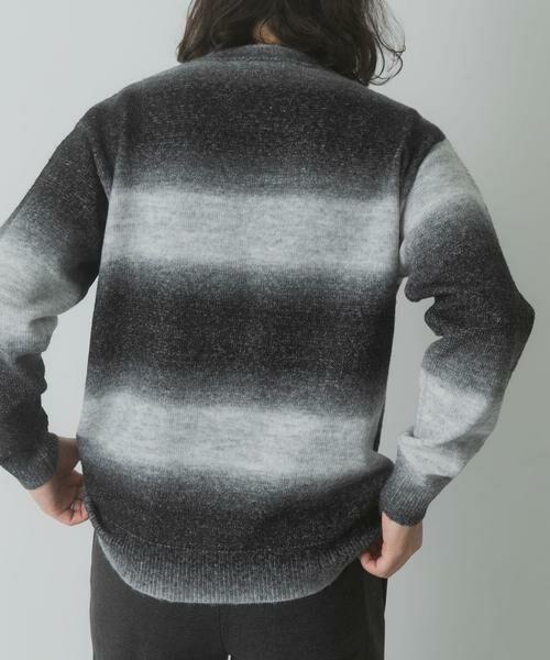 URBAN RESEARCH ITEMS / アーバンリサーチ アイテムズ ニット・セーター | スペースダイクルーネックニット | 詳細16