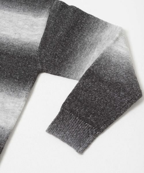 URBAN RESEARCH ITEMS / アーバンリサーチ アイテムズ ニット・セーター | スペースダイクルーネックニット | 詳細20
