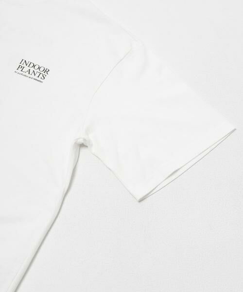 URBAN RESEARCH ITEMS / アーバンリサーチ アイテムズ Tシャツ | Plantsバックプリント USEDライク Tシャツ | 詳細18