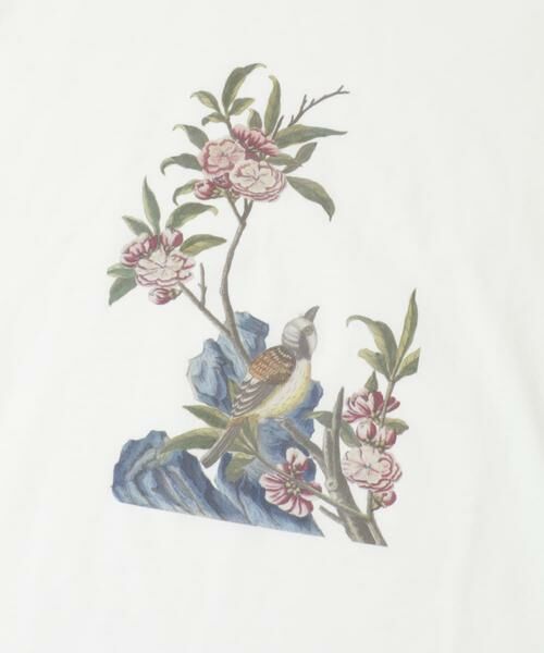 URBAN RESEARCH ITEMS / アーバンリサーチ アイテムズ Tシャツ | NYBG PRINTED TSH | 詳細6