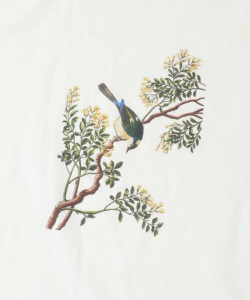 URBAN RESEARCH ITEMS / アーバンリサーチ アイテムズ Tシャツ | NYBG PRINTED TSH | 詳細14