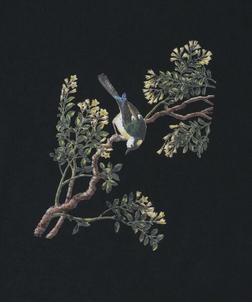 URBAN RESEARCH ITEMS / アーバンリサーチ アイテムズ Tシャツ | NYBG PRINTED TSH | 詳細20