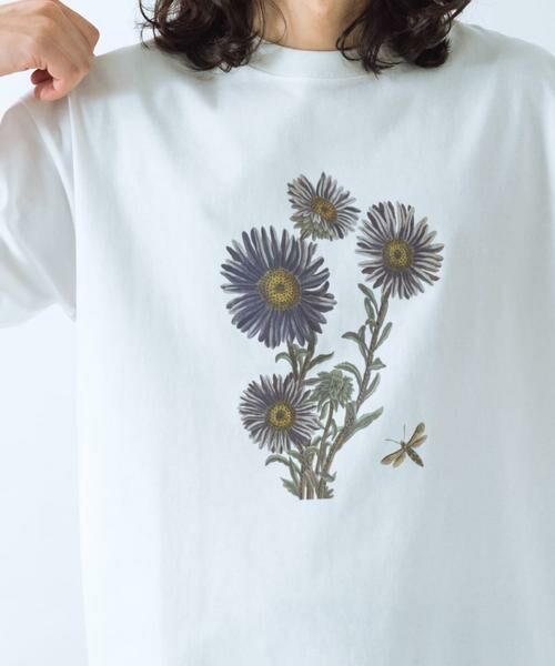 URBAN RESEARCH ITEMS / アーバンリサーチ アイテムズ Tシャツ | NYBG PRINTED TSH | 詳細28