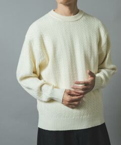 URBAN RESEARCH ITEMS / アーバンリサーチ アイテムズ ニット・セーター | ミニケーブルクルーネックニットプルオーバー