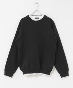 URBAN RESEARCH ITEMS / アーバンリサーチ アイテムズ ニット・セーター | 『洗濯可/UVカット抗菌/防臭』高機能ニットクルーネックアンサンブル