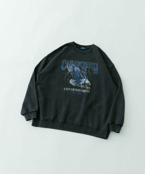＊＊URBAN RESEARCH ITEMS / アーバンリサーチ アイテムズ スウェット | 『XLサイズあり』パウダー加工 クルーネックスウェットプルオーバー（Eagle）