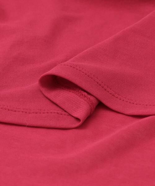 URBAN RESEARCH ROSSO / アーバンリサーチ ロッソ Tシャツ | セミシアータートル | 詳細17