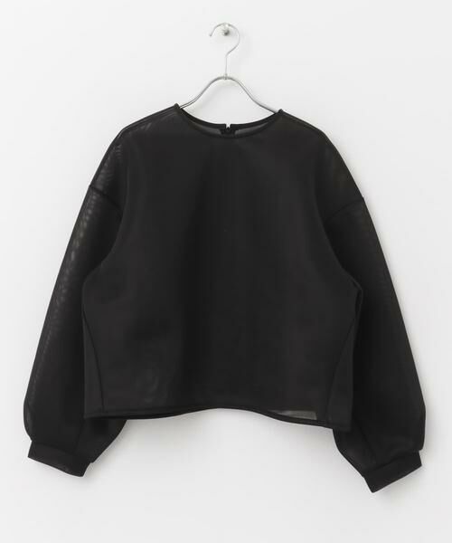 URBAN RESEARCH ROSSO / アーバンリサーチ ロッソ シャツ・ブラウス | F by ROSSO　シアーショートブラウス | 詳細20