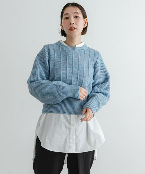 URBAN RESEARCH ROSSO / アーバンリサーチ ロッソ ニット・セーター | F by ROSSO　ラメノットヤーンショートニット | 詳細1