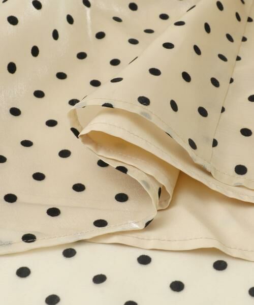 URBAN RESEARCH ROSSO / アーバンリサーチ ロッソ スカート | ドットフロッキーフレアスカート | 詳細20