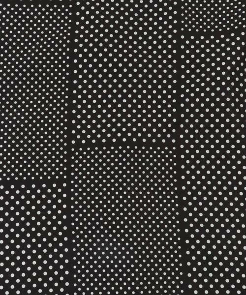 URBAN RESEARCH ROSSO / アーバンリサーチ ロッソ スカート | ランダムドットスカート | 詳細25