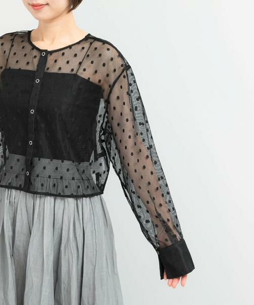 URBAN RESEARCH ROSSO / アーバンリサーチ ロッソ その他トップス | シアーメッシュドットプルオーバー | 詳細17