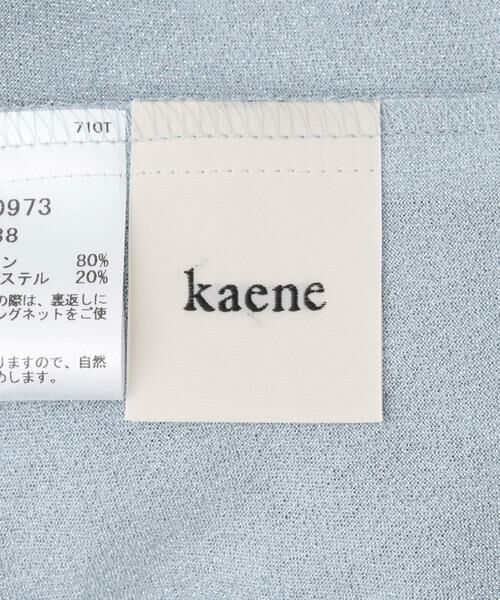 URBAN RESEARCH ROSSO / アーバンリサーチ ロッソ ドレス | 『別注』kaene×ROSSO　スパンコールレースドレス | 詳細9