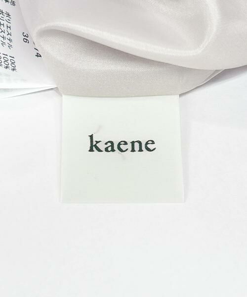URBAN RESEARCH ROSSO / アーバンリサーチ ロッソ ドレス | kaene　ボリュームスリーブレースドレス | 詳細10