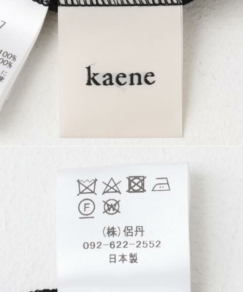 URBAN RESEARCH ROSSO / アーバンリサーチ ロッソ ドレス | kaene　ラメチュールレイヤードレースドレス | 詳細4