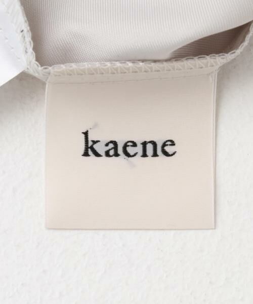 URBAN RESEARCH ROSSO / アーバンリサーチ ロッソ ドレス | kaene　パイピングレースエプロンドレス | 詳細20