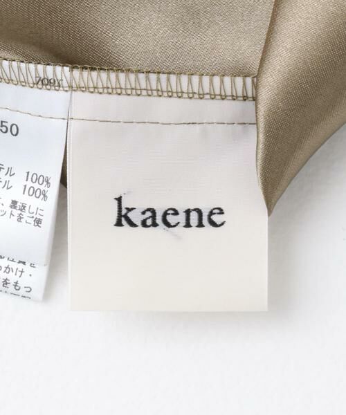 URBAN RESEARCH ROSSO / アーバンリサーチ ロッソ ドレス | kaene　シャンブレーキャミドッキングドレス(sh) | 詳細17