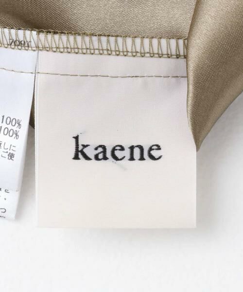 URBAN RESEARCH ROSSO / アーバンリサーチ ロッソ ドレス | kaene　シャンブレーキャミドッキングドレス(lo) | 詳細15