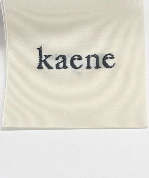 URBAN RESEARCH ROSSO / アーバンリサーチ ロッソ ドレス | kaene　ボリュームバルーンスリーブドレス | 詳細10