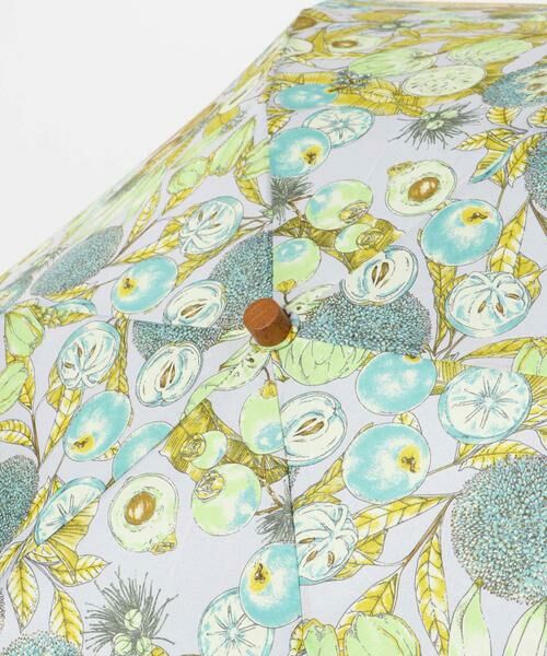 URBAN RESEARCH ROSSO / アーバンリサーチ ロッソ 傘 | manipuri　折傘ジャングルフルーツ | 詳細3