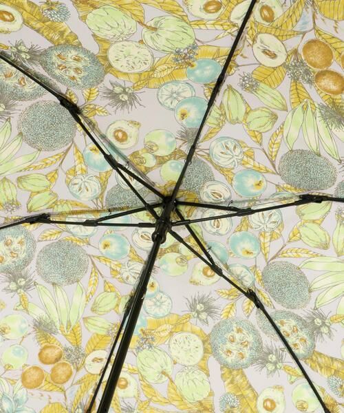 URBAN RESEARCH ROSSO / アーバンリサーチ ロッソ 傘 | manipuri　折傘ジャングルフルーツ | 詳細4