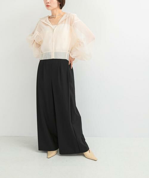 URBAN RESEARCH ROSSO / アーバンリサーチ ロッソ ブルゾン | ELENDEEK　HOODIE SHEER BLOUSON | 詳細3