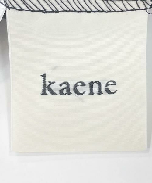 URBAN RESEARCH ROSSO / アーバンリサーチ ロッソ ドレス | kaene　チュールボレロハイウエストドレス | 詳細11